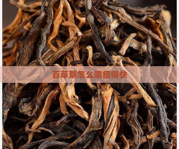 百草茶怎么喝瘦得快