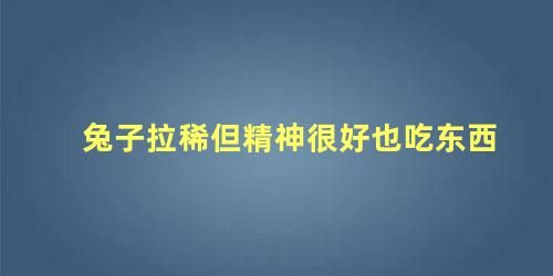 兔子拉稀但精神很好也吃東西