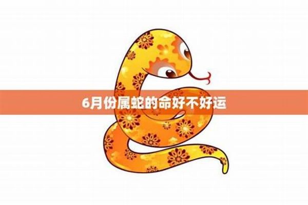 80年属猴女的命运怎么样