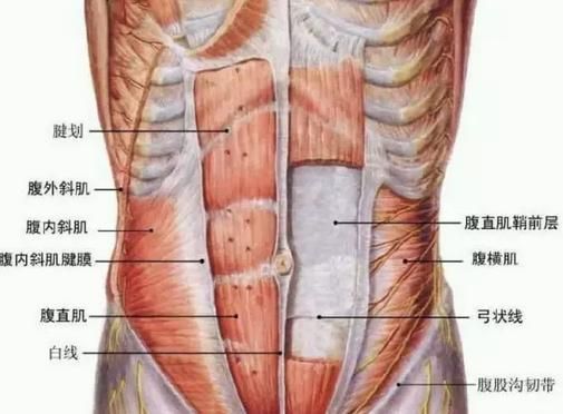 5976ff363cf19.jpg