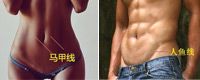 马甲线和人鱼线的区别