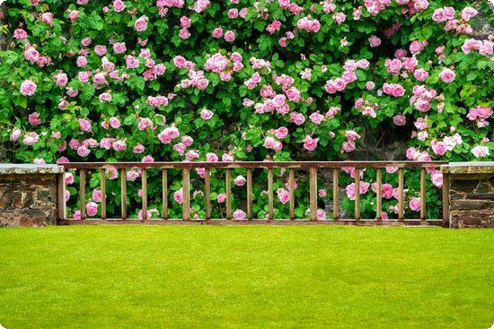 3个瘦腰动作让水桶腰一夜暴瘦