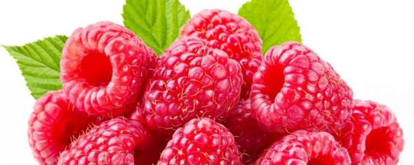 什么方法可以瘦腹 有大肚腩怎么辦 減肥吃什么食物好