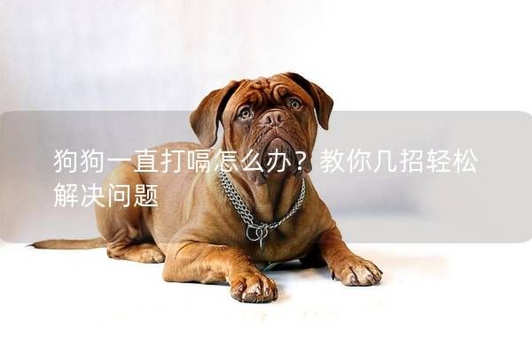 狗狗一直打嗝怎么办？教你几招轻松解决问题