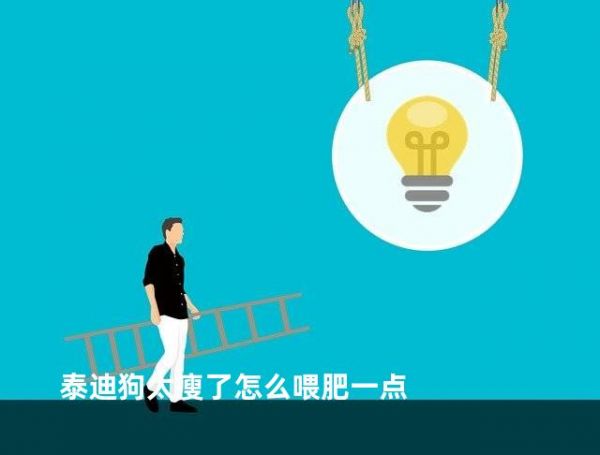 泰迪狗太瘦了怎么喂肥一点