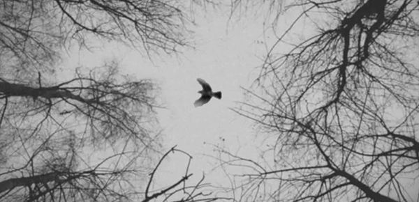 女朋友情绪低落不开心怎么办