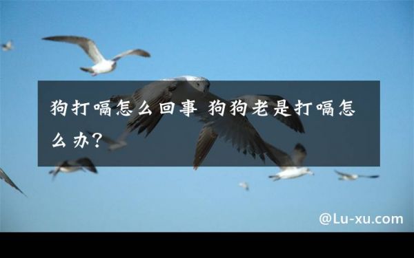 狗打嗝怎么回事 狗狗老是打嗝怎么办？文章配图