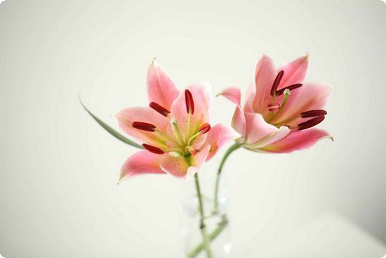 宝宝尿液异常预示着健康隐患