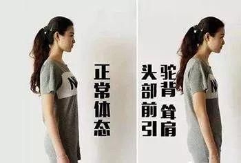 暑假期間又懶又想減肥的你，懶人減肥秘籍，讓你坐著就瘦了！
