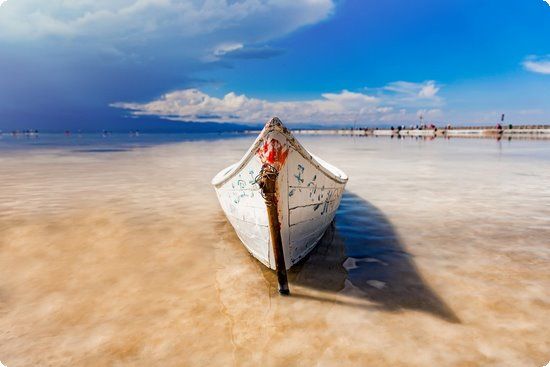 多囊和甲狀腺有關(guān)系嗎