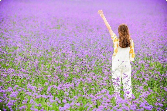 小學(xué)生心理健康教育的方法