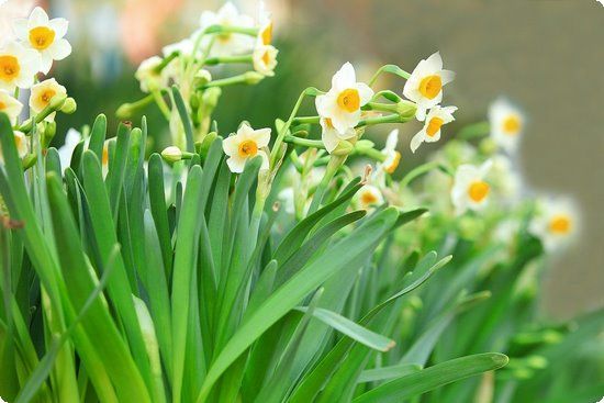 一杯胡萝卜汁七天暴瘦十斤