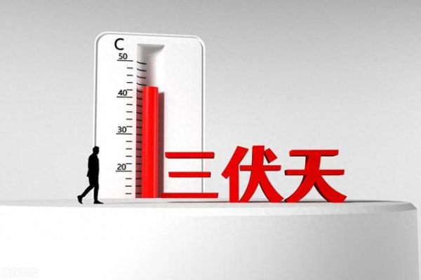 三伏天減肥，做好5點(diǎn)，你也會(huì)瘦下來
