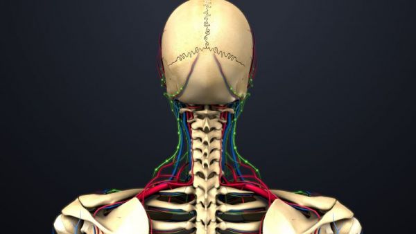 脊柱肿瘤与脊髓肿瘤如何鉴别，脊柱肿瘤如何诊断