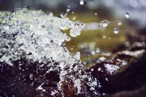 爆款vlog脚本怎么写?6000字指南帮你梳理清楚-第1张图片-周小辉博客