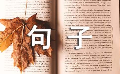表達(dá)瘦了的句子5篇