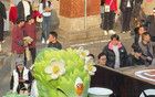 昆明的蛇“丑萌”出圈，網(wǎng)友：感覺像是吃菌子了。