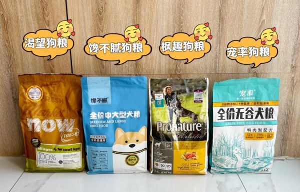 狗狗為什么會(huì)突然吃草？原因有7種來(lái)對(duì)照一下