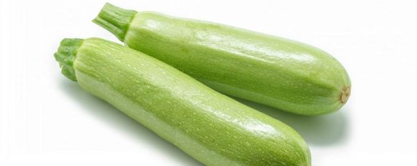 飯后怎么做瘦得快 減肥期間吃什么食物好 減肥期間可以吃西葫蘆嗎