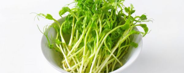 三伏天如何養(yǎng)生 三伏天怎么養(yǎng)生好 三伏天有什么養(yǎng)生方法