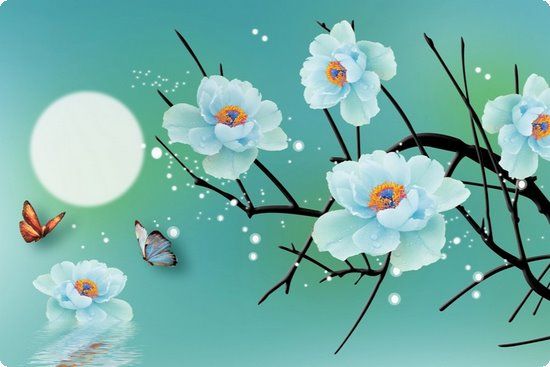 产后瘦身I健康瘦身餐必须低糖低卡吗？怎么吃会瘦还不反弹？