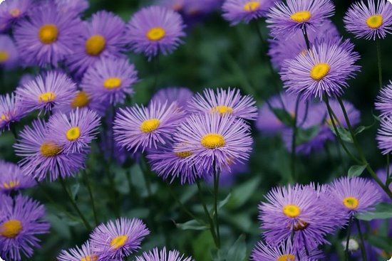 产后瘦身I健康瘦身餐必须低糖低卡吗？怎么吃会瘦还不反弹？