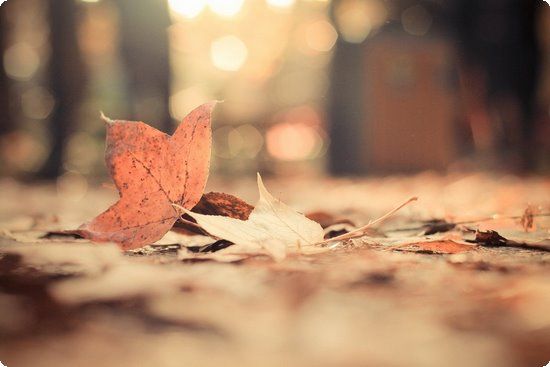 瘦身不瘦胸！來(lái)場(chǎng)健康輕斷食減肥瘦身又豐胸