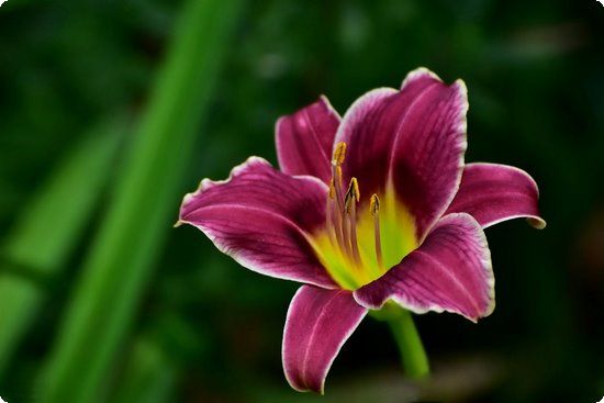 瘦身不瘦胸！來(lái)場(chǎng)健康輕斷食減肥瘦身又豐胸