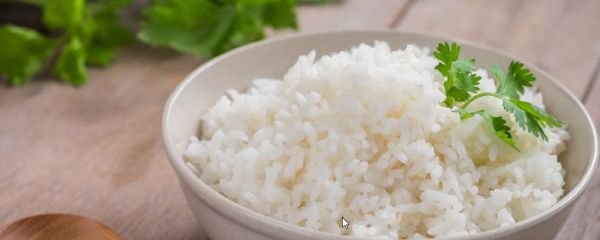 晚上吃半碗飯會(huì)胖嗎 米飯熱量高嗎