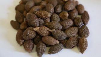 怎么樣可以瘦腿 6個(gè)簡單方法讓你擁有迷人細(xì)腿