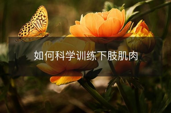 如何科學(xué)訓(xùn)練下肢肌肉