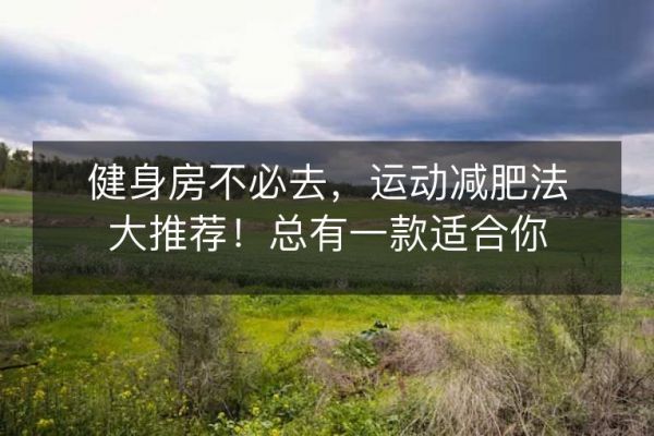 健身房不必去，運(yùn)動(dòng)減肥法大推薦！總有一款適合你