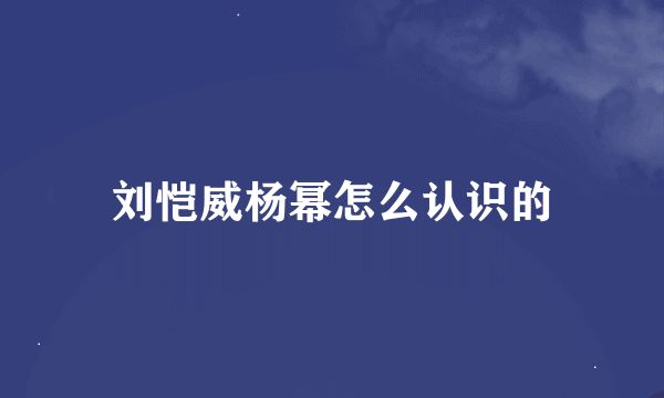 劉愷威楊冪怎么認(rèn)識(shí)的