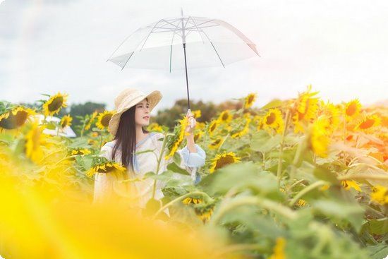 40歲的高圓圓，結(jié)婚5年終于懷孕！高齡到底該如何備孕？