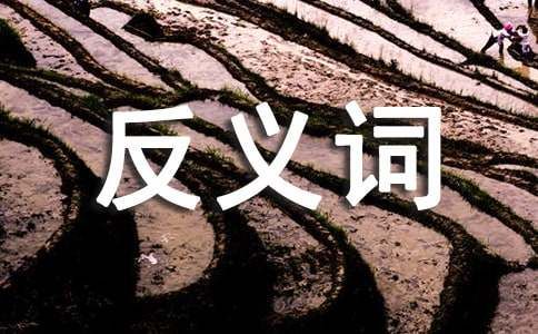 消瘦的反义词