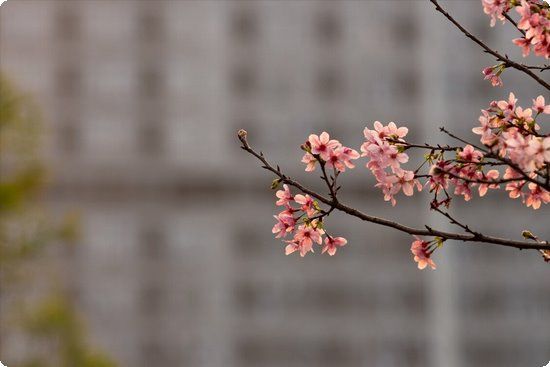 揭秘瘦女孩的瘦身秘訣