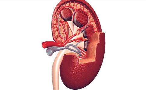 慢性腎炎怎么吃 慢性腎炎吃什么 慢性腎炎的飲食有什么要求