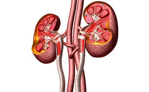 慢性腎炎怎么吃 慢性腎炎吃什么 慢性腎炎的飲食有什么要求