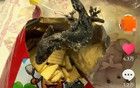 鍋巴中吃出油炸壁虎？廠商：已報(bào)警！
