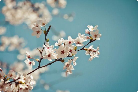 春季怎么健康減肥吃啥較好呢