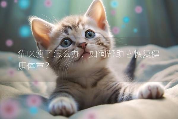 貓咪瘦了怎么辦，如何幫助它恢復健康體重？