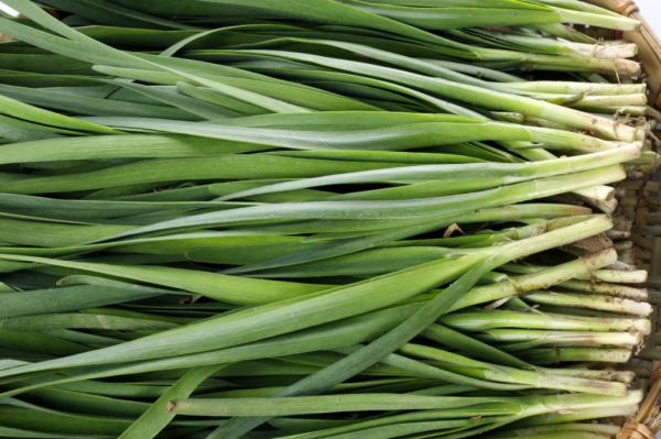 冬季吃韭菜有好处嘛 冬季的韭菜怎么吃 冬季怎么吃韭菜有好处