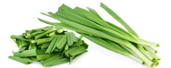 女人吃韭菜有什么好處 冬天吃韭菜可以暖身嗎 韭菜有哪些常見吃法