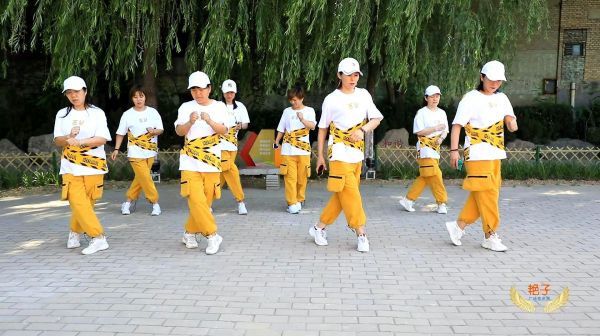 超火擺胯舞《怒擊搖》，舞步簡(jiǎn)單時(shí)尚，附慢動(dòng)作分解教學(xué)