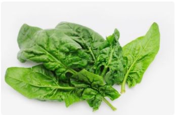 減肥掉頭發(fā)怎么解決