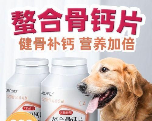 缺钙的猫咪怎么办（宠物猫缺钙的症状及药物治疗方案）