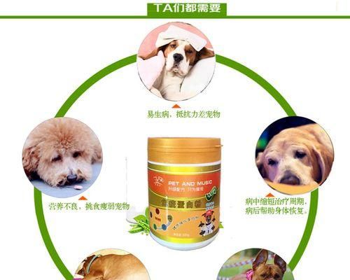 缺钙的猫咪怎么办（宠物猫缺钙的症状及药物治疗方案）