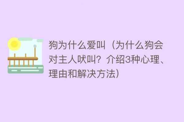 狗为什么爱叫（为什么狗会对主人吠叫？介绍3种心理、理由和解决方法）