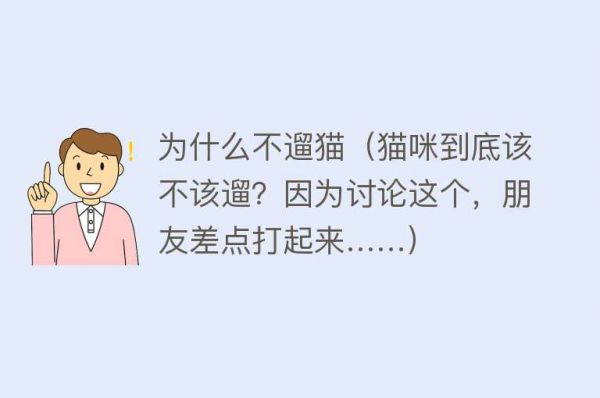为什么不遛猫（猫咪到底该不该遛？因为讨论这个，朋友差点打起来……）