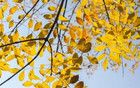 最高級的養(yǎng)生：少
